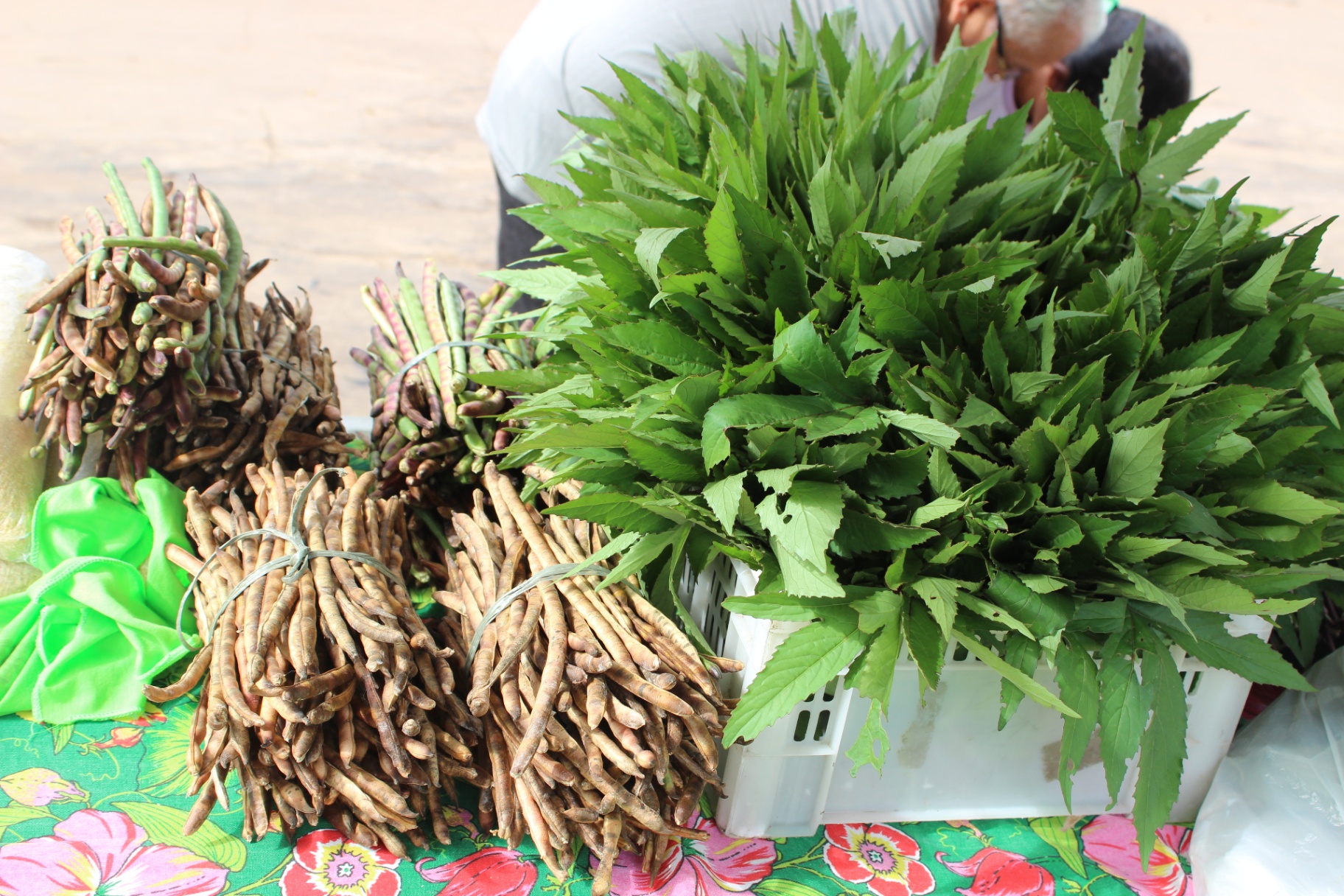 Circuito de Feiras Agroecológicas e Solidárias do Baixo Munim