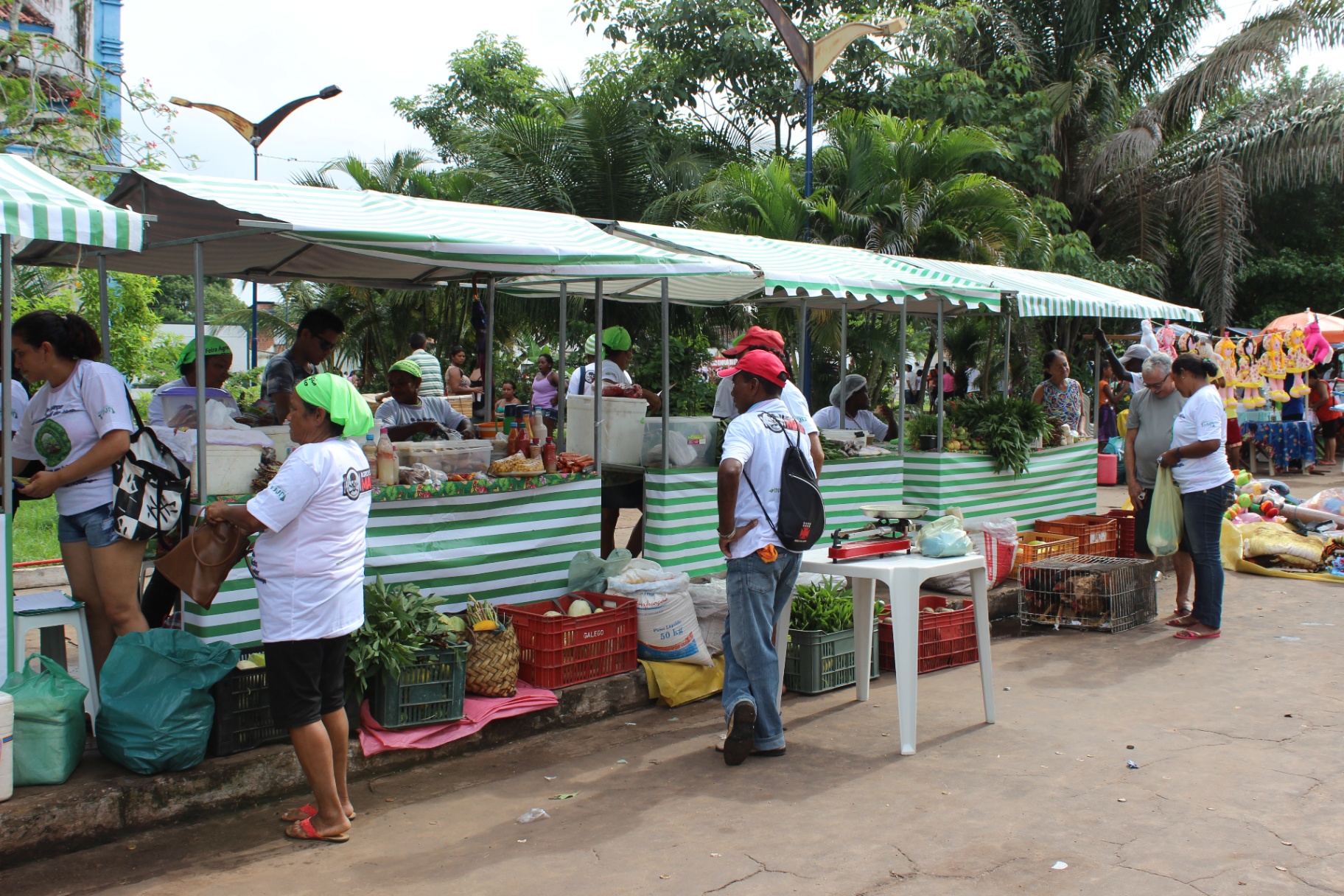 Feira Agroecológica de Presidente Juscelino