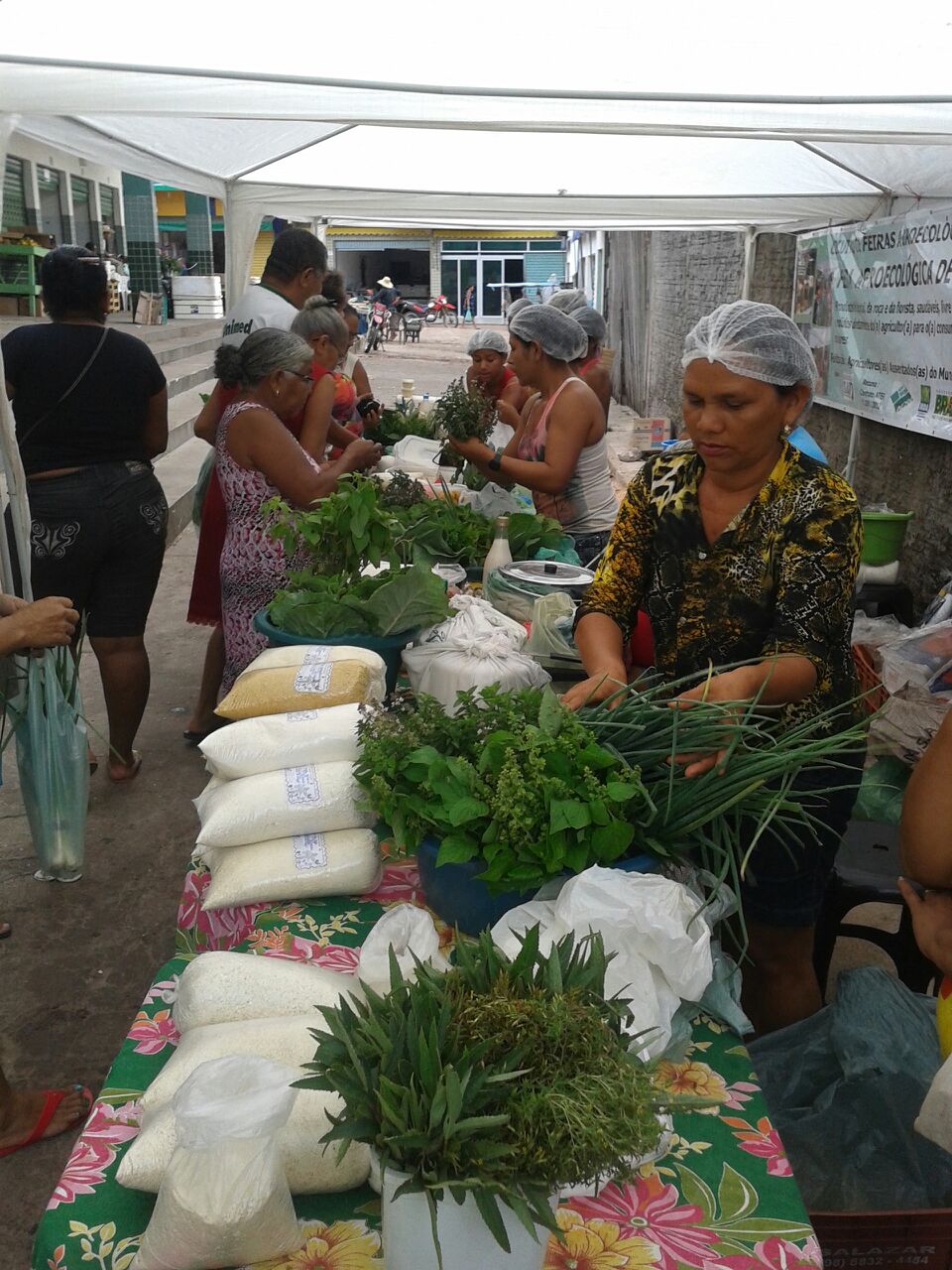 Feira Agroecológica de Morros