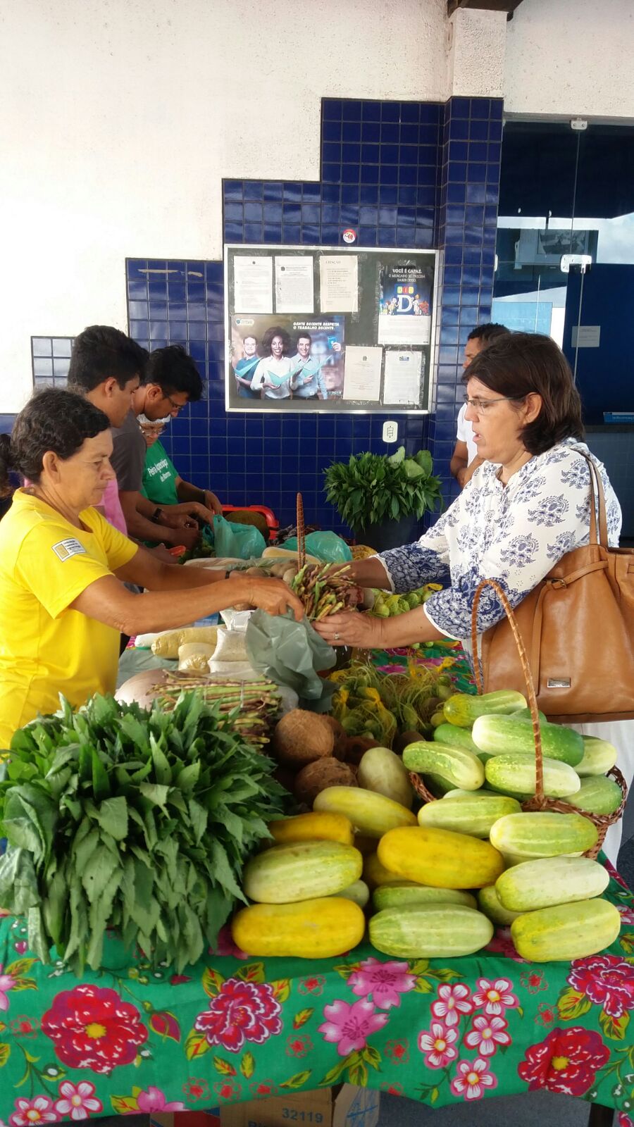 Feiras Agroecológicas e Solidárias em São Luís